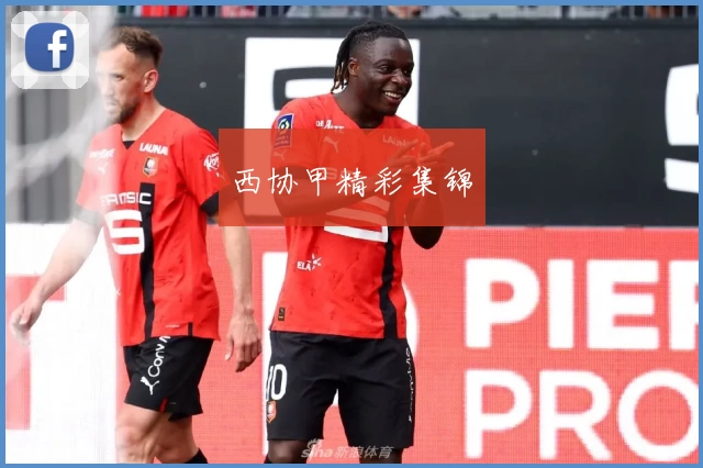 西协甲精彩集锦