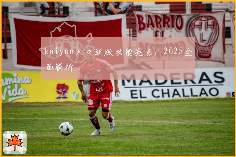 kaiyun入口新版功能亮点，2025全面解析