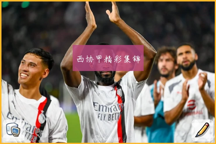 西协甲精彩集锦