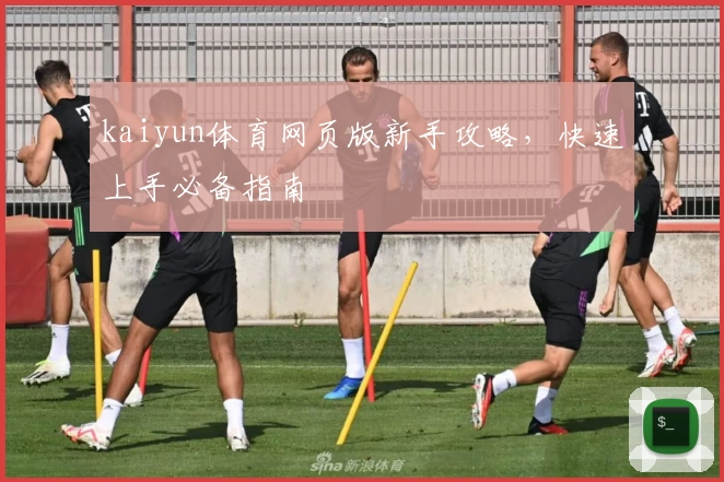 kaiyun体育网页版新手攻略，快速上手必备指南